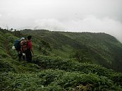 imgp030.jpg